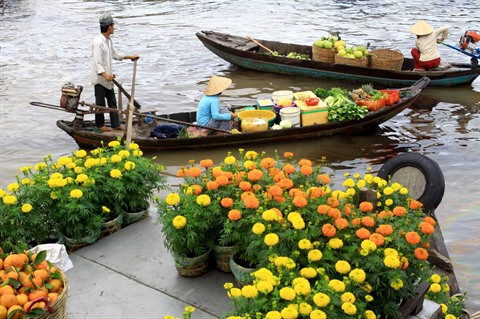 2017 : année florissante pour le tourisme vietnamien ảnh 2 2017 : année florissante pour le tourisme vietnamien ảnh 2