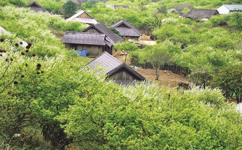 Tây Bac, une mine d’or à exploiter ảnh 1 Tây Bac, une mine d’or à exploiter ảnh 1