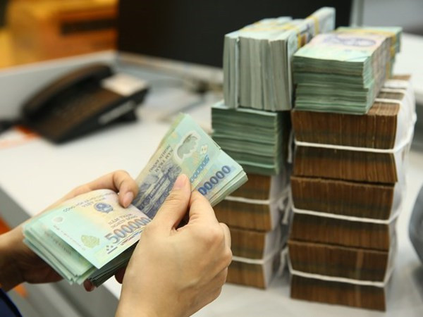 Le travail d'inspection aide Bac Giang à traiter de nombreuses infractions ảnh 2 Le travail d'inspection aide Bac Giang à traiter de nombreuses infractions ảnh 2