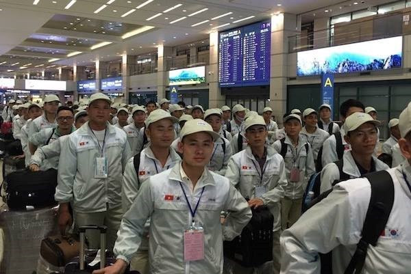 Vietnam et R. de Corée intensifie la coopération dans l'hygiène du travail ảnh 1