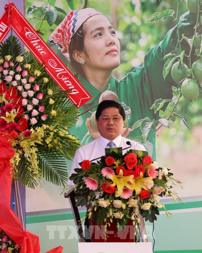 Gia Lai exporte les 100 premières tonnes de grenadilles vers l’UE ảnh 1 Gia Lai exporte les 100 premières tonnes de grenadilles vers l’UE ảnh 1
