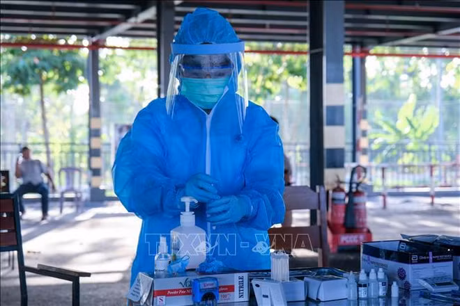 COVID-19 : 97 nouveaux cas détectés mardi soir ảnh 1