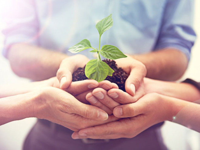 Lancement du concours "Jeunes champions de la Terre" ảnh 1 Lancement du concours "Jeunes champions de la Terre" ảnh 1