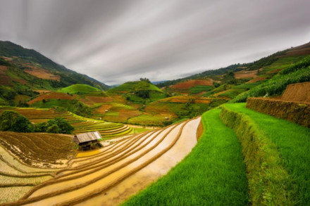 Sa Pa et Fansipan parmi les sites impressionnants d’Asie du Sud-Est pour la randonnée et le trekking ảnh 1 Sa Pa et Fansipan parmi les sites impressionnants d’Asie du Sud-Est pour la randonnée et le trekking ảnh 1