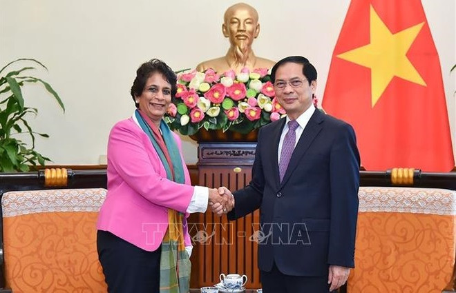 Le PNUD soutient le Vietnam dans son développement vert et durable ảnh 1 Le PNUD soutient le Vietnam dans son développement vert et durable ảnh 1
