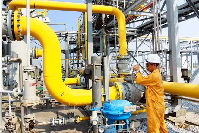 PV Gas D vise le statut de premier distributeur de gaz naturel ảnh 2 PV Gas D vise le statut de premier distributeur de gaz naturel ảnh 2