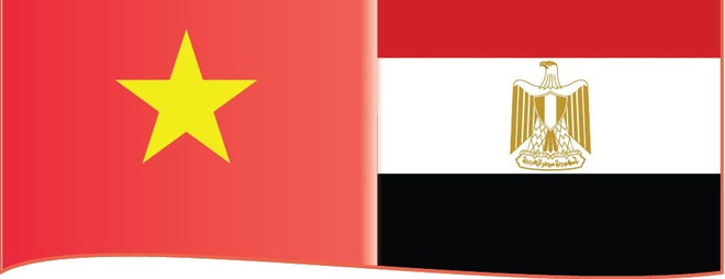 Le Vietnam félicite l’Egypte pour sa 70e Fête nationale ảnh 1