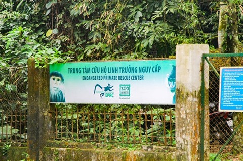 Une passionnée des primates dans le Parc national de Cuc Phuong ảnh 2 Une passionnée des primates dans le Parc national de Cuc Phuong ảnh 2