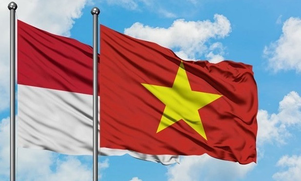 Volonté commune du Vietnam et l’Indonésie de promouvoir leur coopération multisectorielle ảnh 1