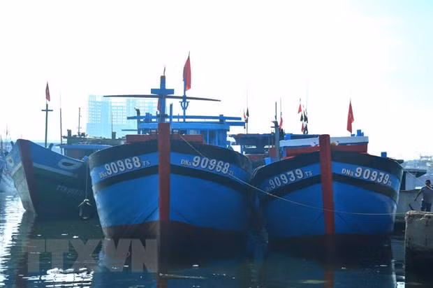 Mer Orientale : le Vietnam souligne la primauté du droit et la volonté de la paix ảnh 1