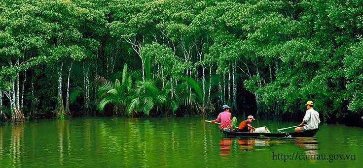 Lancement du concours d’écriture "La forêt est ma vie" ảnh 1