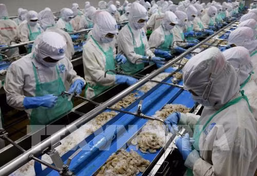 Un bon début pour les exportations des produits aquatiques ảnh 1