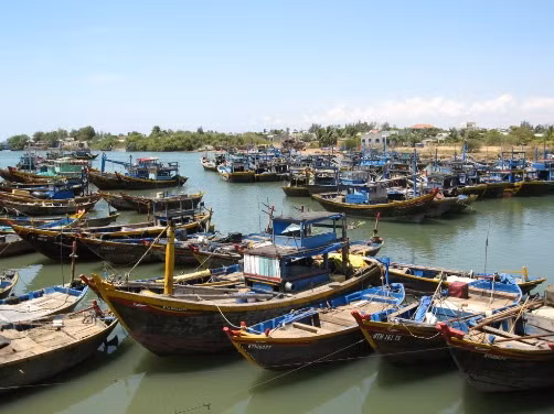 Kien Giang promeut la lutte contre la pêche INN ảnh 1