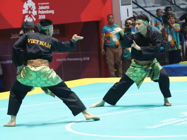 ASIAD 2018 : trois médailles d’argent supplémentaires pour le Vietnam ảnh 1