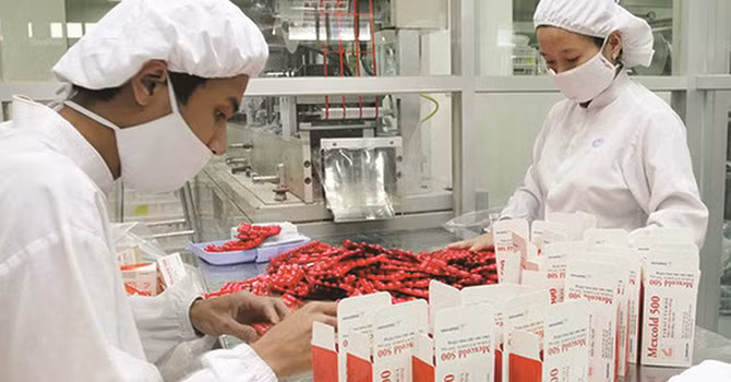Vietnam-Inde : Rencontre d'entreprises dans le domaine de la santé ảnh 1