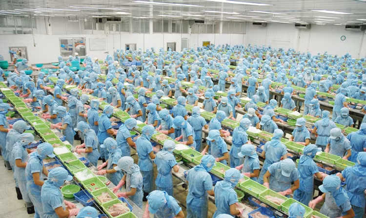 Création de près de 12.100 entreprises à Hô Chi Minh-Ville en 4 mois ảnh 1