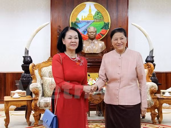 Vietnam-Laos: renforcement des relations entre les deux assemblées nationales ảnh 1