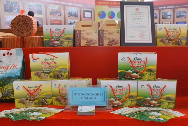 Le Vietnam à la 6e Exposition Chine-Asie du Sud et la 26e Foire d'import-export de Kunming ảnh 1