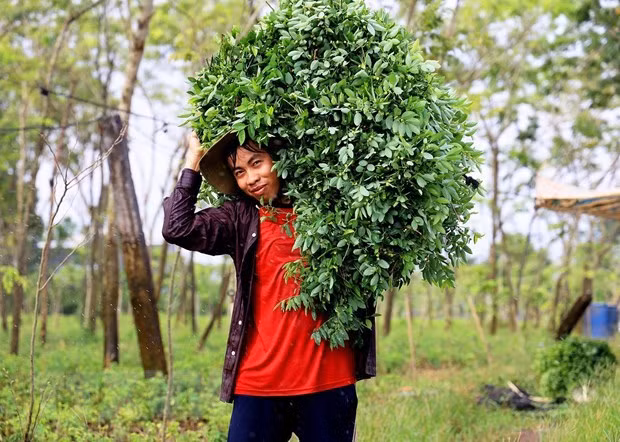 Dong Nai donne un exemple dans l’édification de la Nouvelle Ruralité ảnh 2