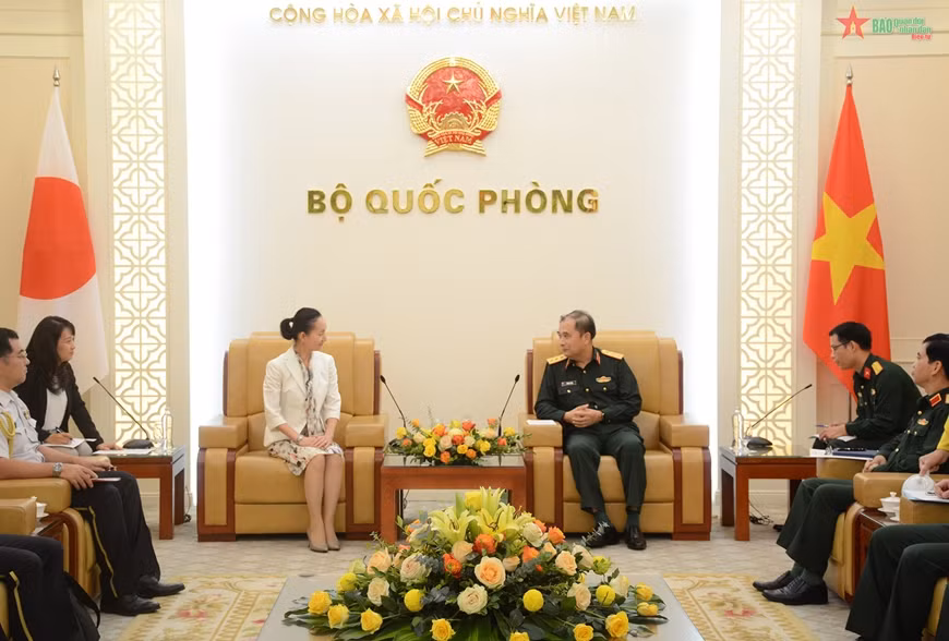 Le Vietnam et le Japon renforcent leur coopération en matière de maintien de la paix ảnh 1