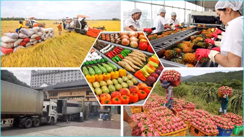 Les exportations de produits agricoles dépassent les 49 milliards de dollars en 11 mois ảnh 2
