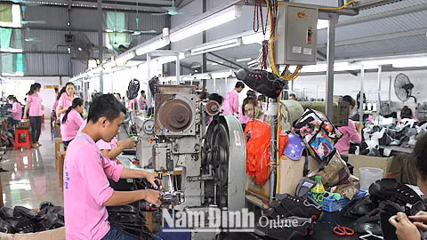 Opportunités pour l'industrie vietnamienne du cuir et des chaussures en 2018 ảnh 1