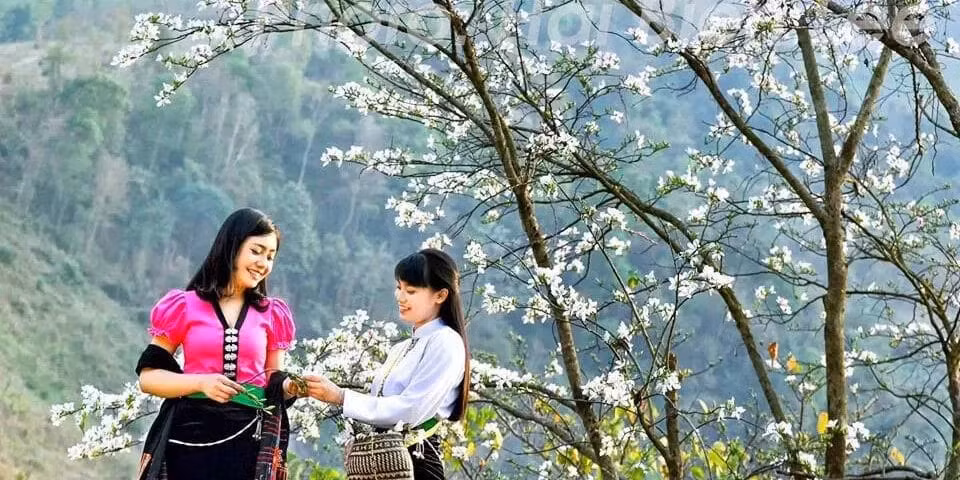 Le festival des fleurs de bauhinia va épater les visiteurs ảnh 1