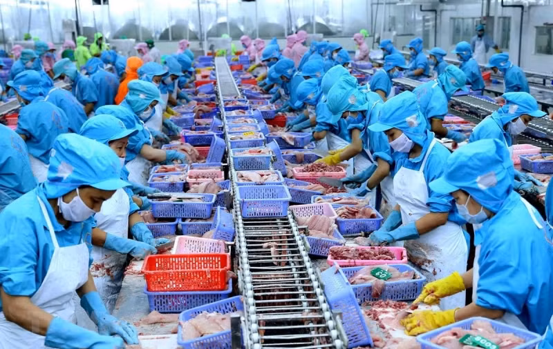 HCM-V : 100% des établissements de production agricole, sylvicole et aquacole seront certifiés sûrs ảnh 1