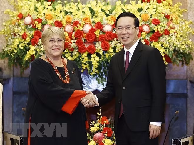 Le président Vo Van Thuong reçoit l'anciennne présidente du Chili ảnh 2