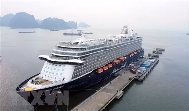 Le navire de croisière Mein Schiff 5 amène 2.191 touristes étrangers à Ha Long ảnh 1