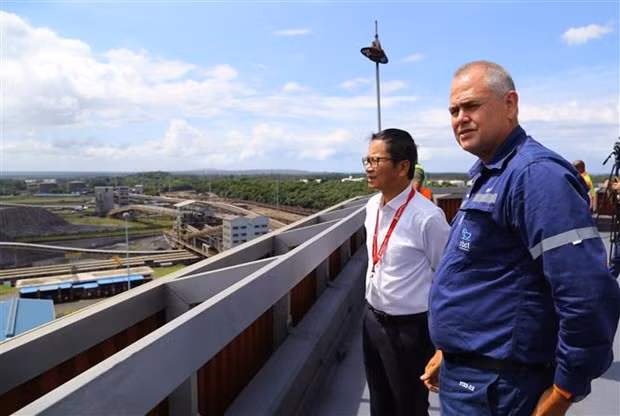 Vietnam et Afrique du Sud explorent le potentiel de coopération économique ảnh 2