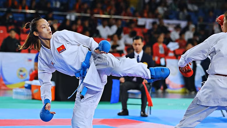 Le Vietnam remporte la première place aux Championnats de karaté d'Asie du Sud-Est ảnh 2