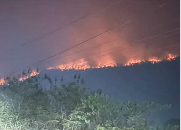 Les incendies de forêt et la pollution de l'air atteignent un niveau de danger au Laos ảnh 1