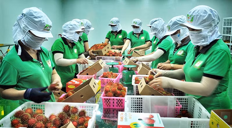 Le Vietnam et la Chine promeuvent les échanges agricoles et aquacoles ảnh 2