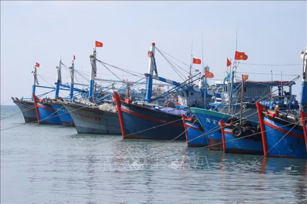 Bac Lieu lutte énergiquement contre la pêche INN ảnh 1