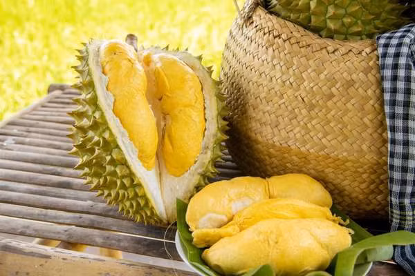 246 indicatifs régionaux de culture du durian approuvés pour l'exportation vers la Chine ảnh 1