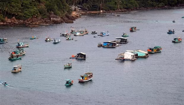 Kien Giang se concentre sur le développement des infrastructures de pêche ảnh 1