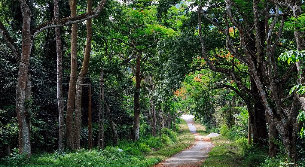 Aide française dans la protection des patrimoines naturels et culturels du Vietnam ảnh 1