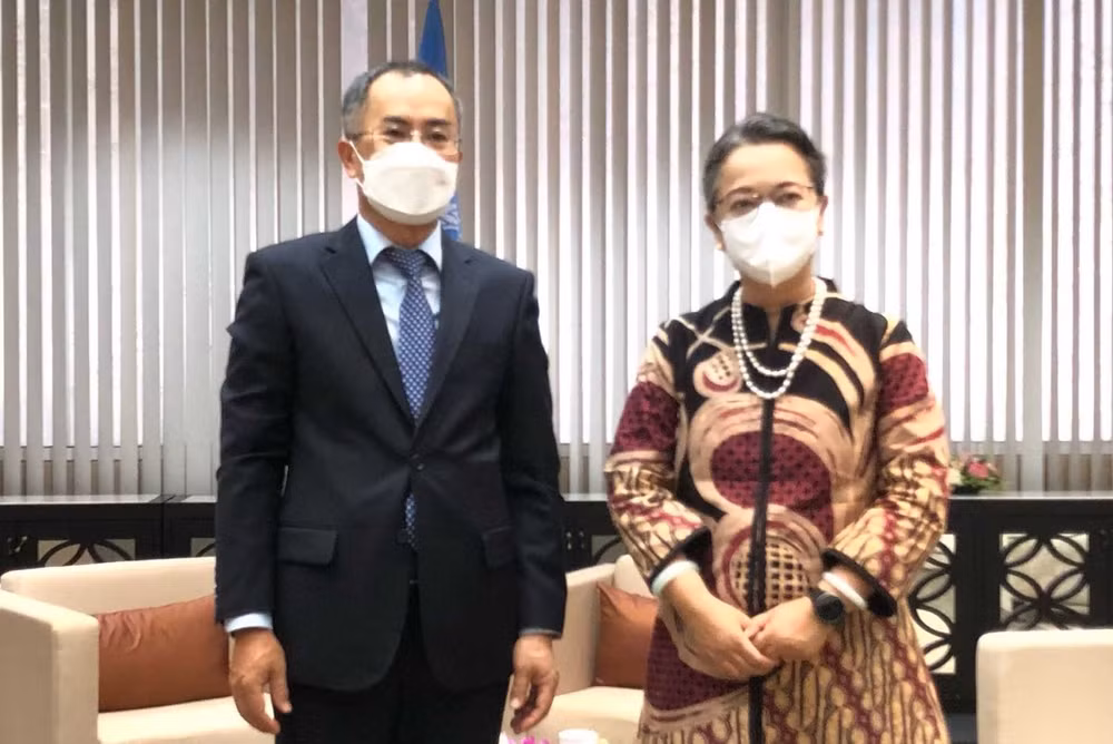 La CESAP prend en haute considération le partenariat avec le Vietnam ảnh 1