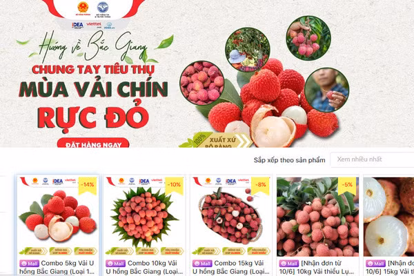 Bac Giang accélère la vente de ses produits agricoles via les plateformes de commerce électronique ảnh 1