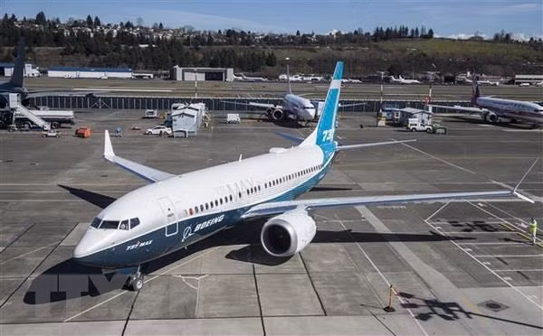 Singapour suspend l'exploitation des Boeing 737 Max ảnh 1
