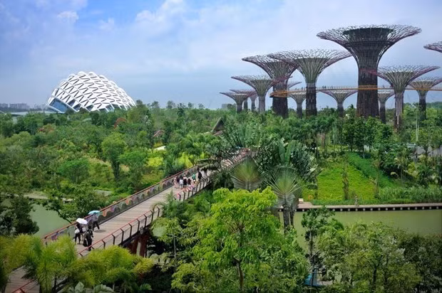 L'ASEAN et la BAD lancent une initiative de soutien des infrastructures vertes ảnh 1