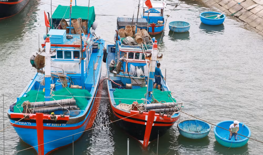 Pêche : le volume de produits aquatiques exploités estimé à 566.700 tonnes au 1er trimestre ảnh 1