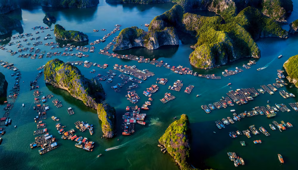 Un photographe vietnamien primé au concours international RGB-2021 ảnh 1