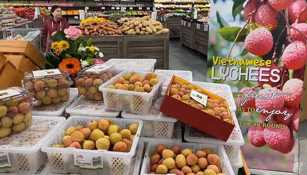 Le commerce Vietnam-Australie dépasse les 8 milliards de dollars au premier semestre ảnh 1