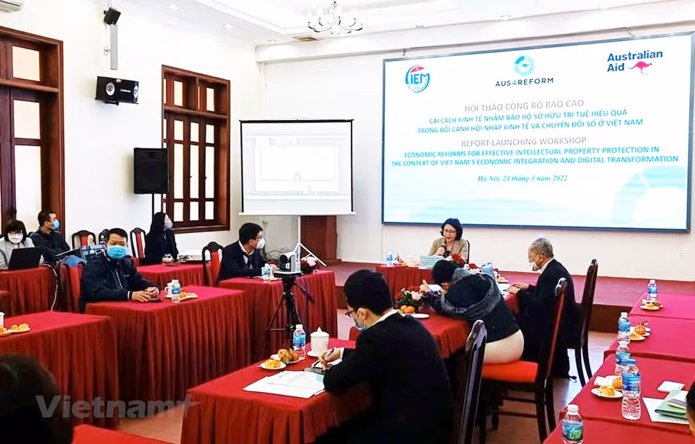 Quatre recommandations pour améliorer la protection de la propriété intellectuelle au Vietnam ảnh 2