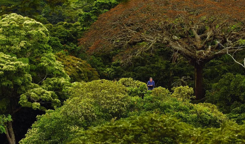 Bientôt le premier festival du film sur la nature et l'environnement au Vietnam ảnh 1 Bientôt le premier festival du film sur la nature et l'environnement au Vietnam ảnh 1