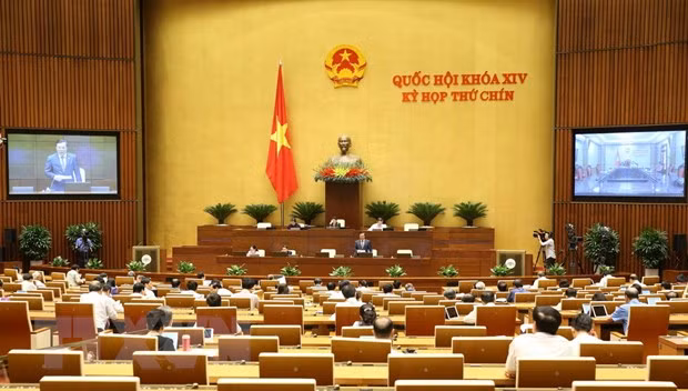 L’amendement de la loi sur l’organisation de l’Assemblée nationale en débat ảnh 1