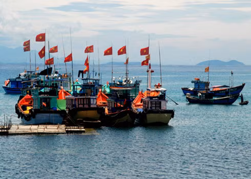 Le Vietnam fustige l’interdiction chinoise de pêche en Mer Orientale ảnh 1