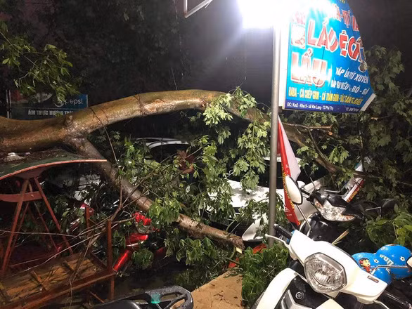 Des pluies torrentielles font un mort et 12 blessés dans les provinces du Nord ảnh 1
